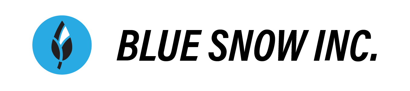 blue snow llc logo